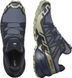 Кросівки Salomon outdoor SPEEDCROSS GTX 6 6.5 Grisai/Carbon/Tea 43р