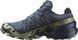Кросівки Salomon outdoor SPEEDCROSS GTX 6 6.5 Grisai/Carbon/Tea 43р