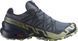Кросівки Salomon outdoor SPEEDCROSS GTX 6 6.5 Grisai/Carbon/Tea 43р