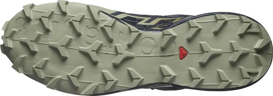 Кросівки Salomon outdoor SPEEDCROSS GTX 6 6.5 Grisai/Carbon/Tea 43р